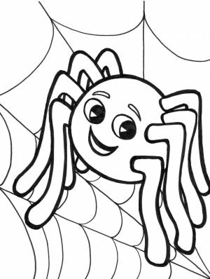 Раскраски Раскраска Паучок на паутине пауки детские