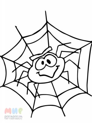 Раскраска Паук