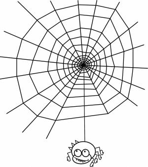 Раскраски Раскраска Паучок на паутине пауки, Сайт раскрасок