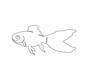 Китайский карась, золотая рыбка, рисунок непрерывной линии веернохвоста