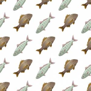 Рыбный карась и красноперка бесшовный рисунок, изолированный, вид сбоку, нарисованный вручную