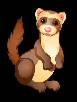 Раскраска хорек