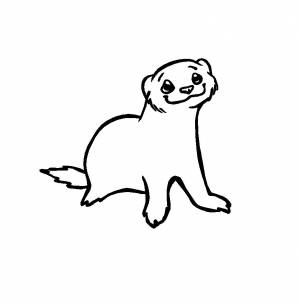 Хорек рисунок раскраска