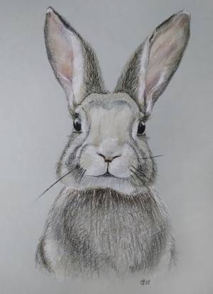 Пасхальный кролик