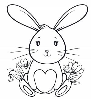 Большой кролик