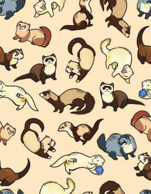 Хорек мультяшный рисунок