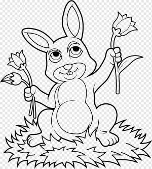 милый мультяшный кролик с цветами книжка-раскраска, png