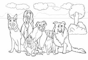 Раскраски Раскраска Собаки собаки всех пород