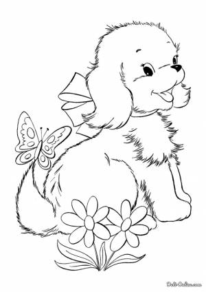 Раскраска Собачка и бабочка