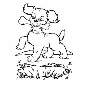 Раскраска Собака с косточкой