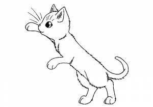 Раскраски Раскраска Котенок котята и щенки собаки хаски