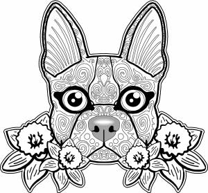 Раскраска собака и котик