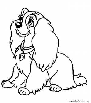 Раскраска Собака и щенки для детей   для девочек и мальчиков