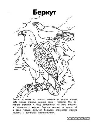 Раскраски животные и птицы красной книги