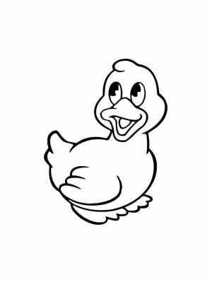 Раскраски Утка