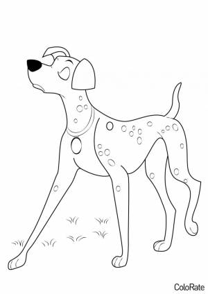 Раскраска Далматинец на прогулке