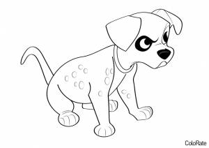 Раскраска Злой щенок