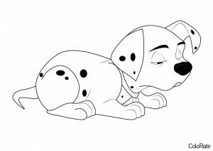 Раскраска Сонный щенок