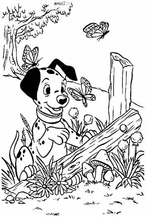 Раскраска далматинец на природе