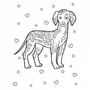 Раскраска Собака Далматинец