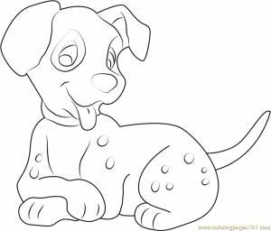 Раскраски далматинец собака