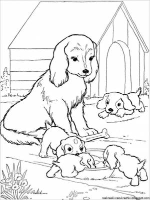 Раскраска собака