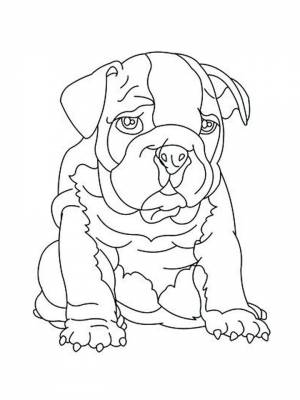 Раскраска Бульдог черно белая для детей