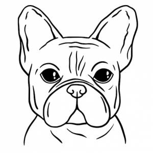 Французский бульдог черно-белый рисованный портрет французский бульдог морда в линии голова собаки