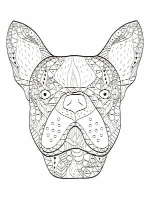 Голова бульдога раскраска вектор для взрослых