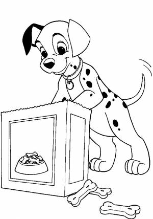 Раскраска любимые косточки далматинца