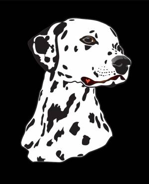 Раскраска Далматинец
