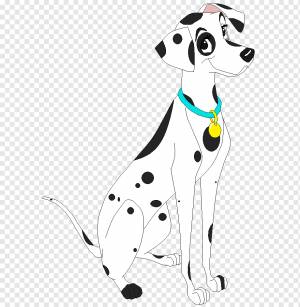 Щенок далматина щенок Canidae, далматинец, млекопитающее, животные, хищник png