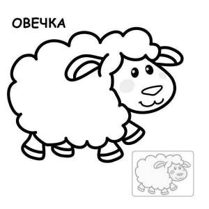 Раскраски баран овечки бараны ягнята