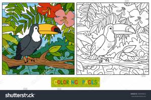 Coloring Book Children Toucan Background