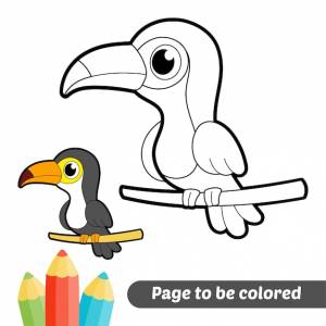 Книжка-раскраска для детей тукан птица вектор