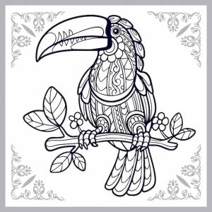 Тукан птица zentangle искусства, изолированные на белом фоне