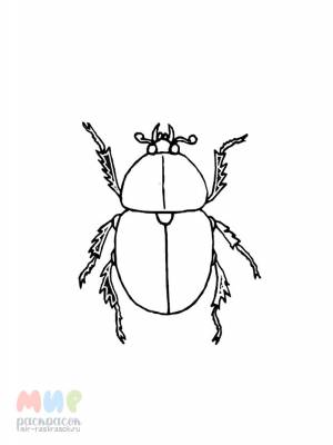 Раскраска Жук услышал стук