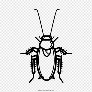 Рисунок таракана Книжка-раскраска Черно-белый, таракан, угол, животные, монохромный png