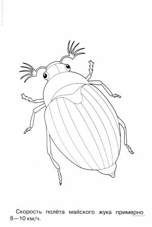 Жук карандашом для детей