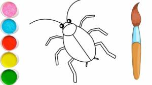 How To Draw a Cockroach