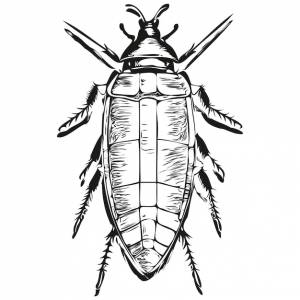 Таракан логотип черно-белая иллюстрация ручной рисунок тараканов