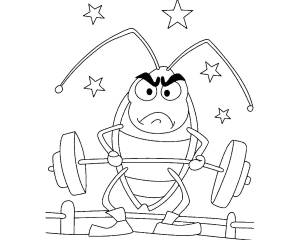 Раскраска Таракан