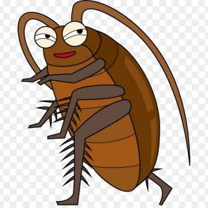 Таракан рисунок для детей