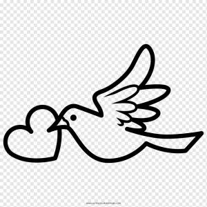 Книжка-раскраска Рисунок для взрослых Page, palomas volando, белый, текст, рука png