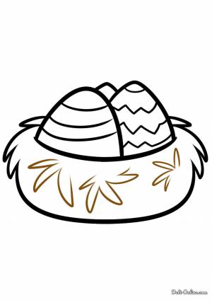 Раскраска гнездо с яйцами