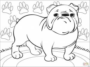 Раскраска Бульдог