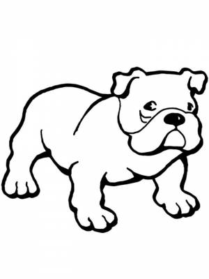 Раскраски Бульдог   в формате