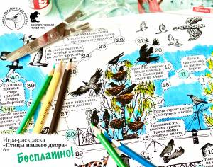Настольная игра-раскраска Птицы нашего двора