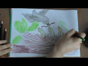 Как нарисовать гнездо и птенчиков просто карандашами от 5 лет How to draw a nest and Chicks