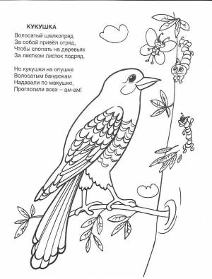 Раскраски Кукушка